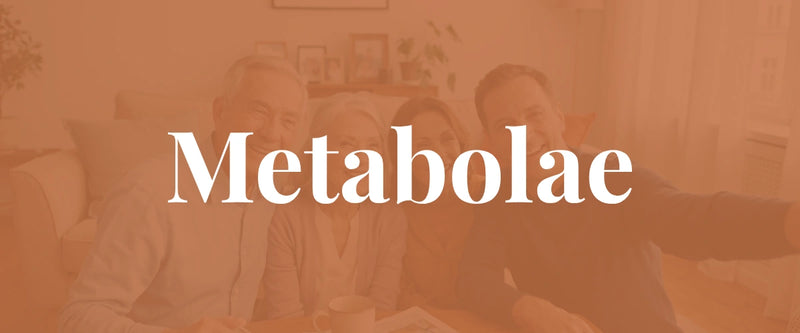 Metabolae ile Yolculuk